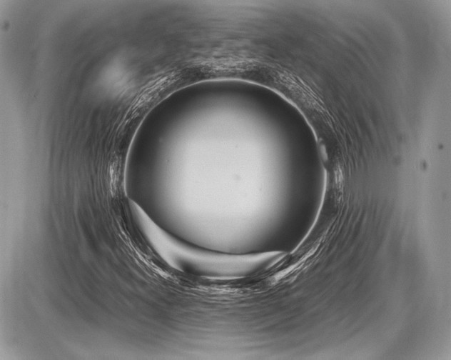X0000087691300200705041027