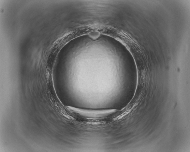 X0000087691302200705041027