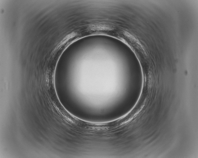 X0000087691305200705041028