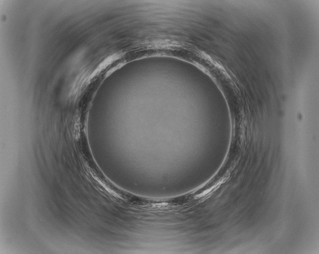 X0000087691306200705041028