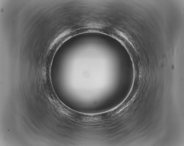 X0000087691307200705041028