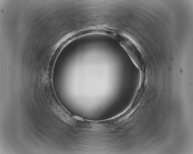 X0000087691308200705041028