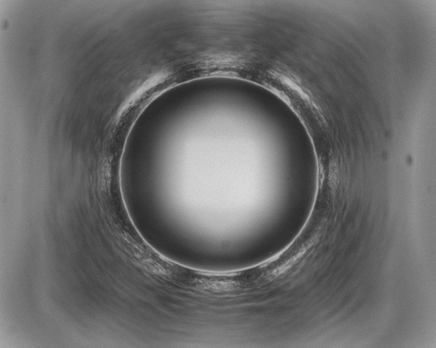 X0000087691309200705041028