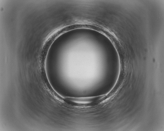 X0000087691311200705041028