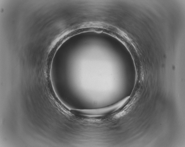 X0000087691312200705041028