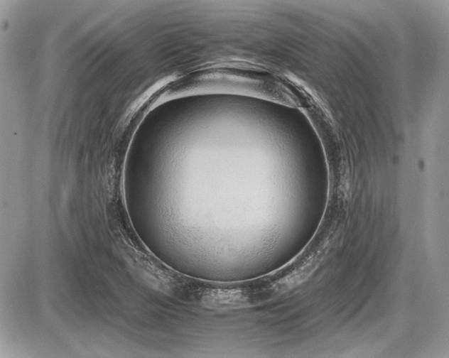X0000087691313200705041028