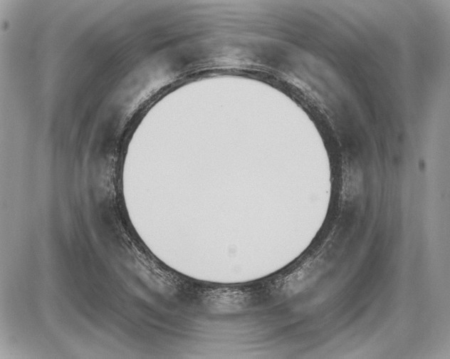 X0000087691314200705041028