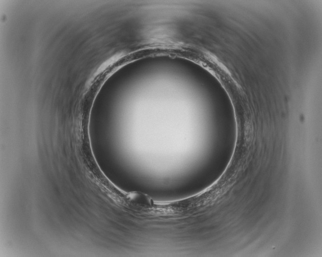 X0000087691315200705041028
