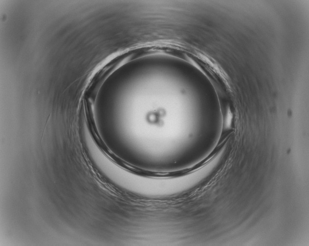 X0000087691316200705041028