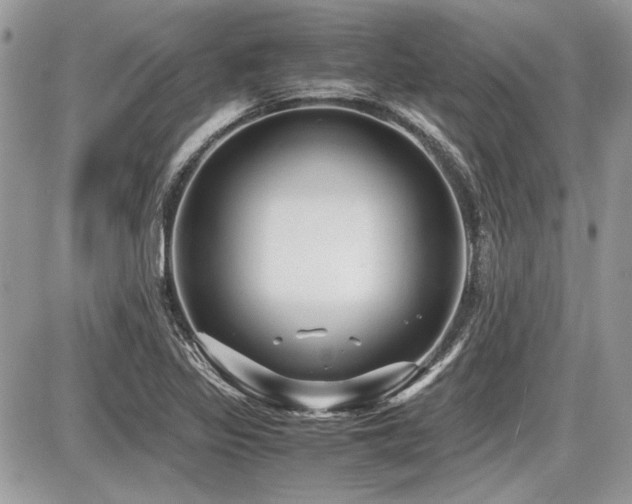 X0000087691317200705041028