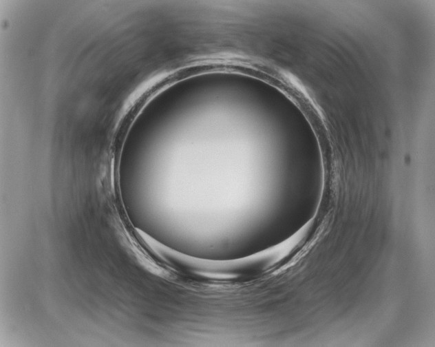 X0000087691320200705041028