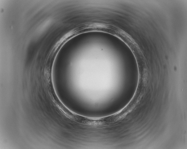 X0000087691321200705041028