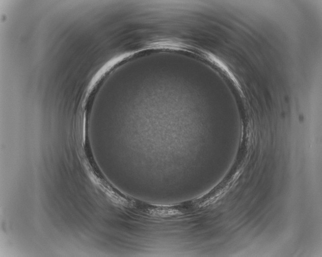 X0000087691323200705041028