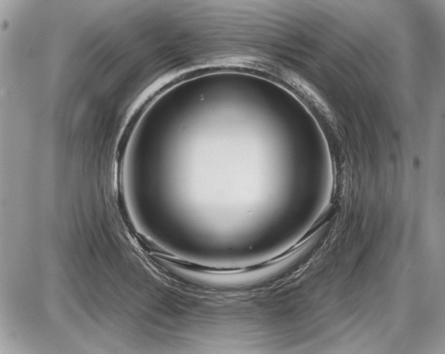 X0000087691324200705041028