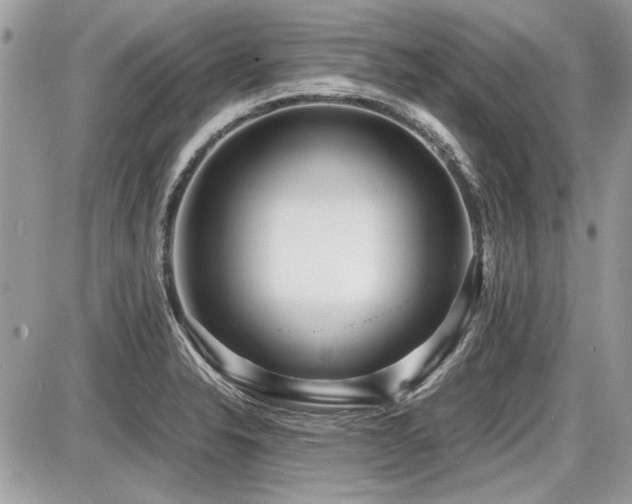 X0000087691326200705041028