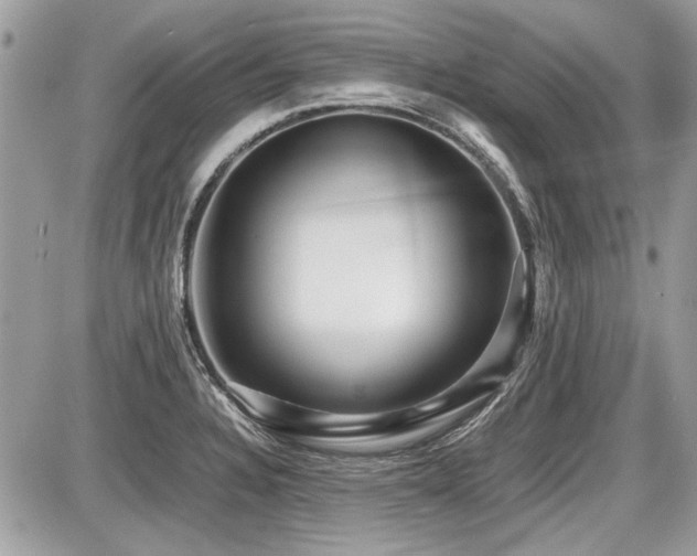 X0000087691328200705041028