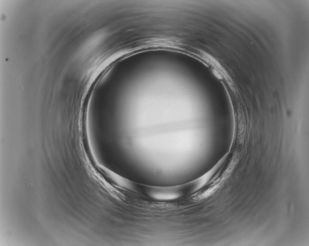 X0000087691339200705041028