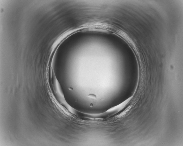 X0000087691344200705041028