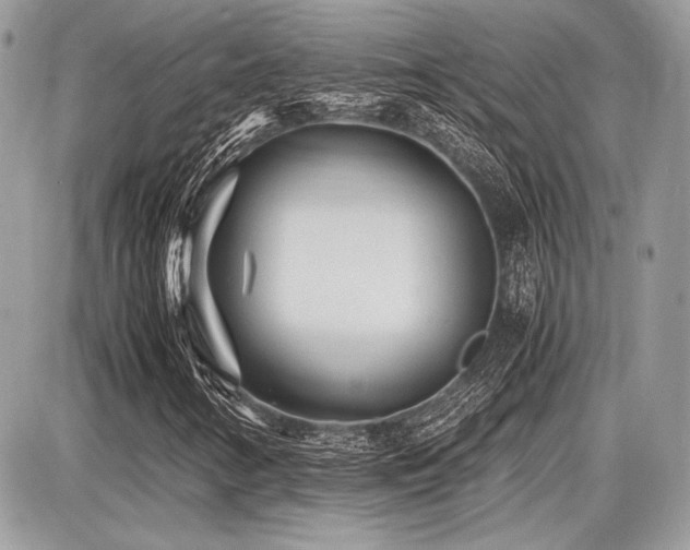 X0000087691346200705041027
