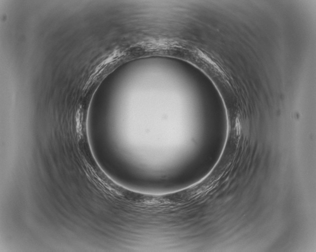 X0000087691348200705041027