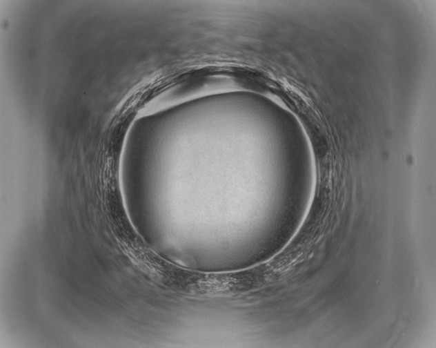 X0000087691351200705041027