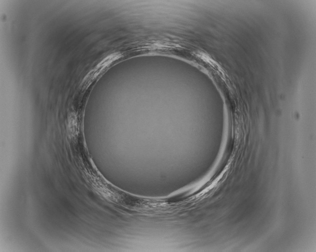 X0000087691353200705041027