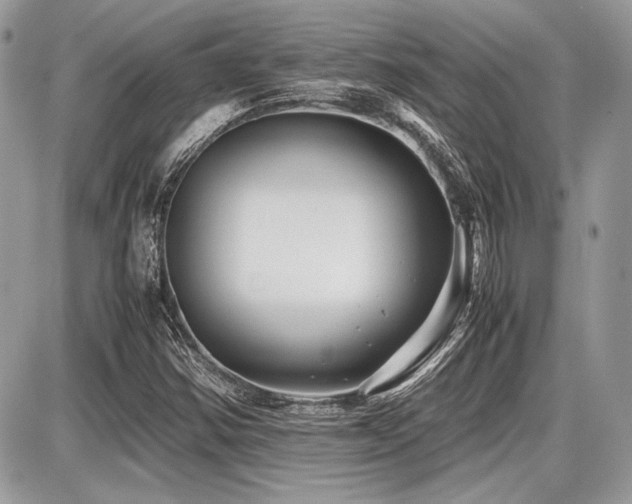X0000087691354200705041027