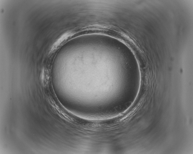 X0000087691355200705041027