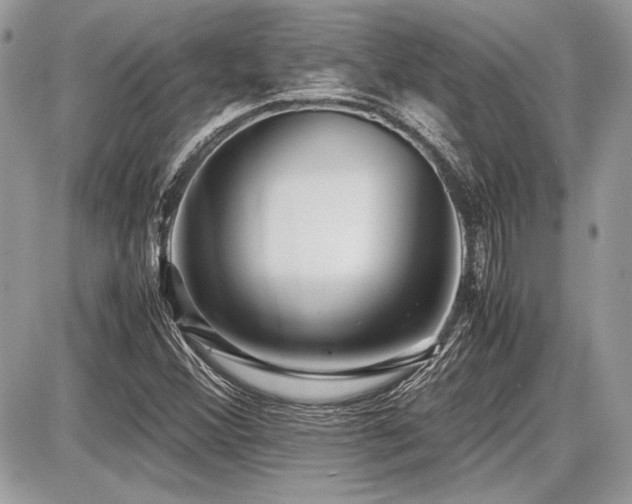 X0000087691356200705041027