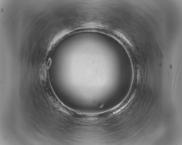 X0000087691358200705041027