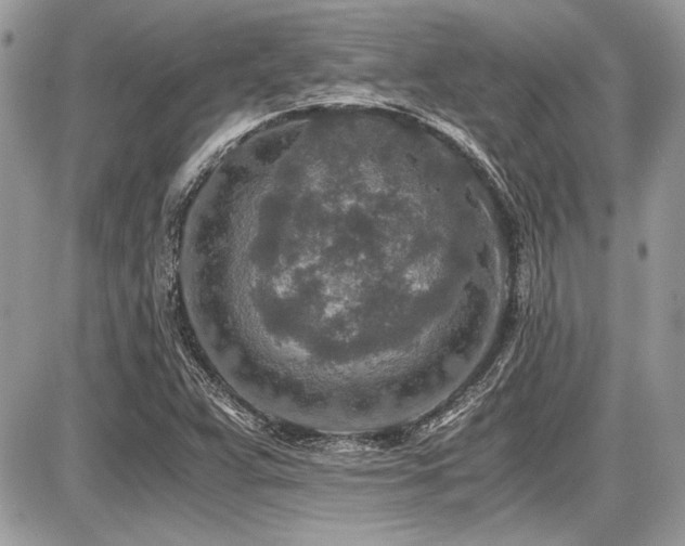 X0000087691359200705041027