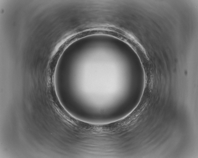 X0000087691360200705041027