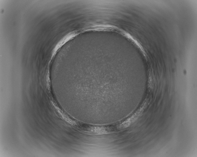 X0000087691362200705041027
