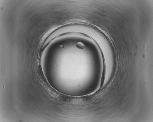 X0000087691363200705041027