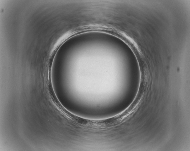X0000087691365200705041027