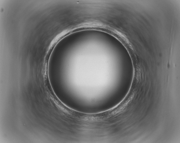 X0000087691366200705041027