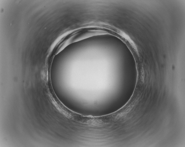 X0000087691368200705041027