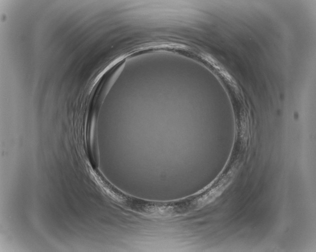 X0000087691369200705041027