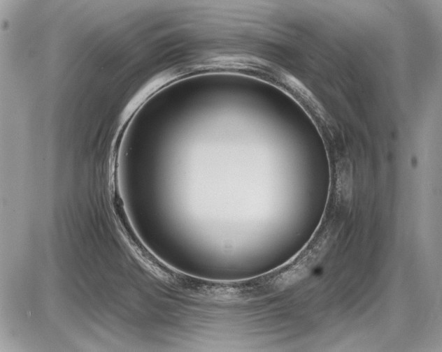 X0000087691370200705041027