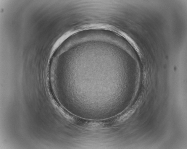 X0000087691373200705041027