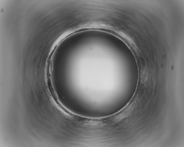 X0000087691374200705041027