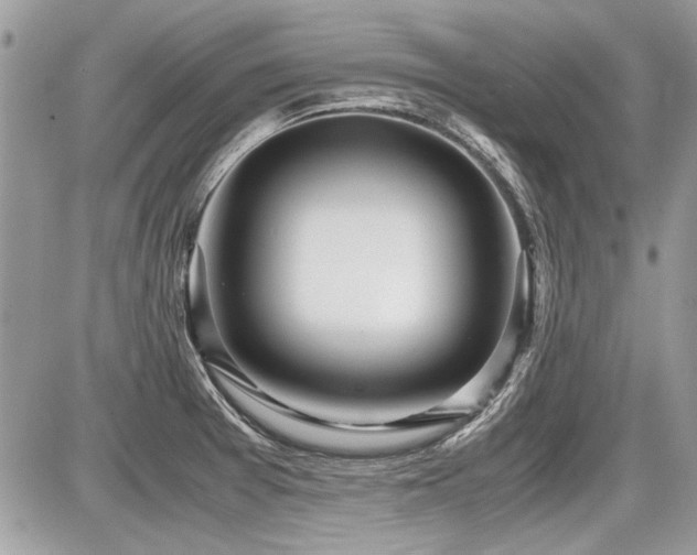 X0000087691377200705041027