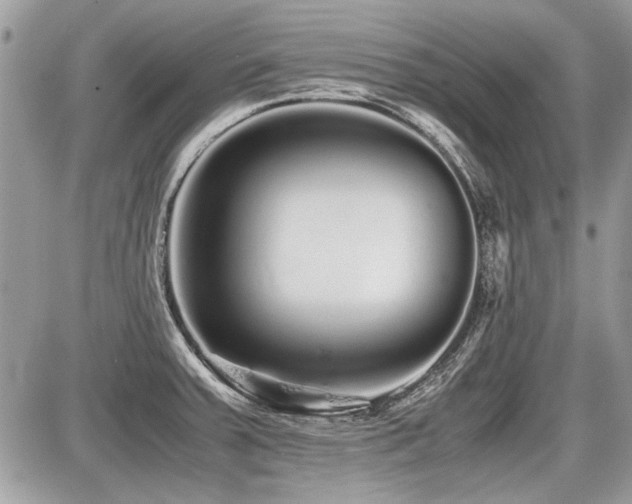 X0000087691379200705041027