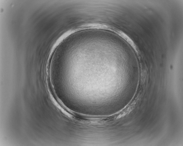 X0000087691381200705041027