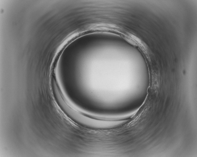 X0000087691384200705041027
