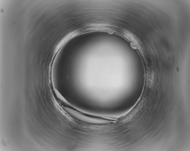 X0000087691386200705041027