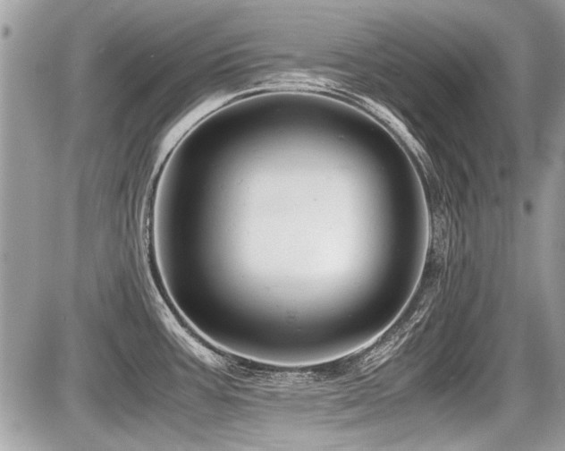X0000087691387200705041027