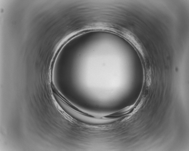 X0000087691388200705041027