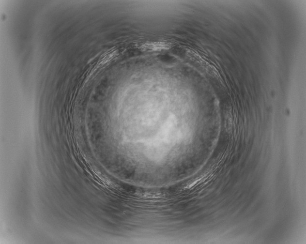 X0000087691393200705041026