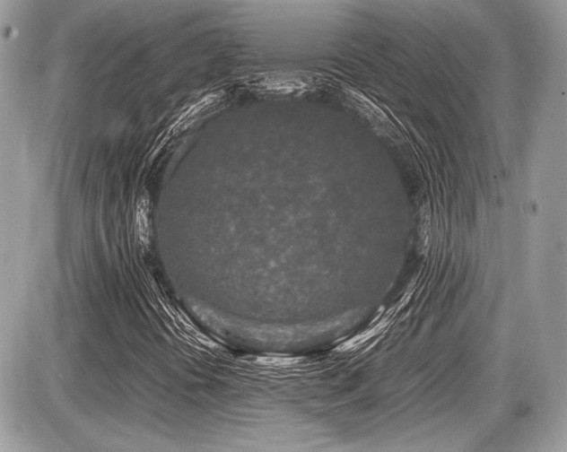 X0000087691394200705041026